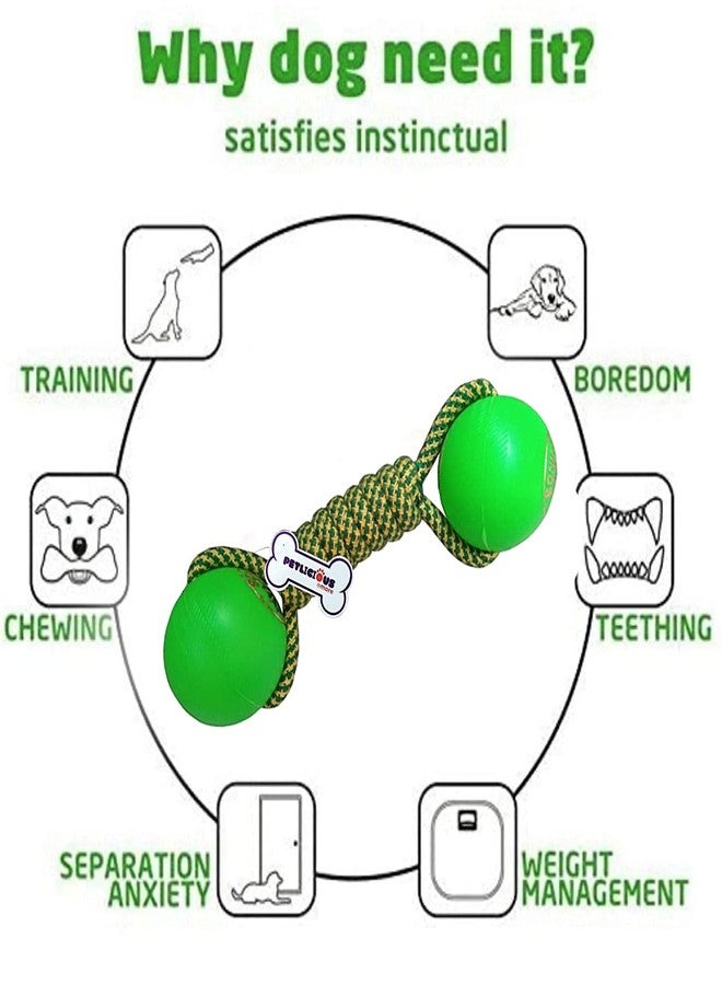 PETLICIOUS & MORE مجموعة ألعاب Petlicious & More® المكونة من 3 قطع - كرة قدم تصدر صوتاً | كرة بلاستيكية على شكل دمبل | لعبتان للمضغ مع كرة تنس للكلاب الصغيرة والجراء (مجموعة من 3 قطع) - Image 3